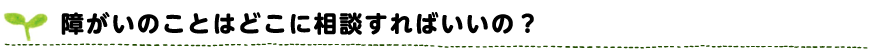 障がいのことはどこに相談すればいいの？
